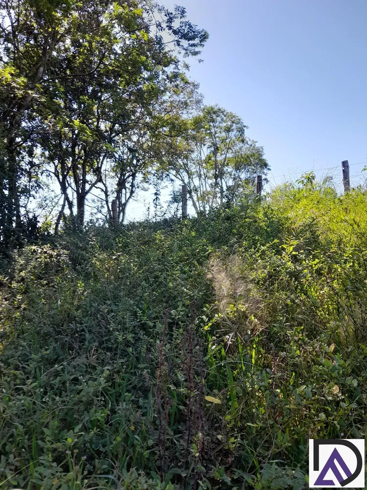 Terreno, 5500 m² - Foto 5