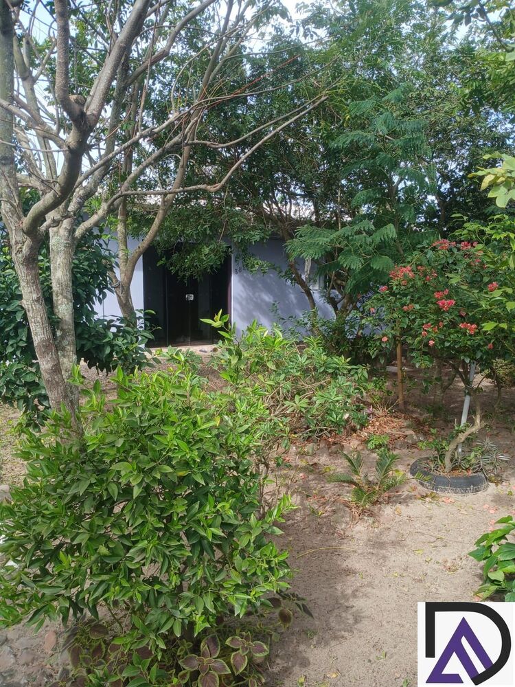 Casa, 6 quartos, 199 m² - Foto 4