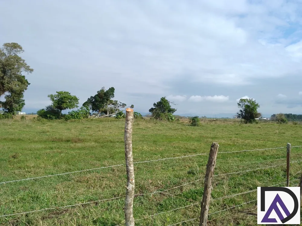 Terreno, 12 hectares - Foto 3