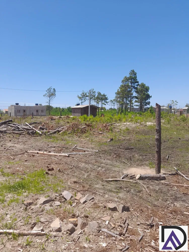 Terreno, 12 hectares - Foto 9