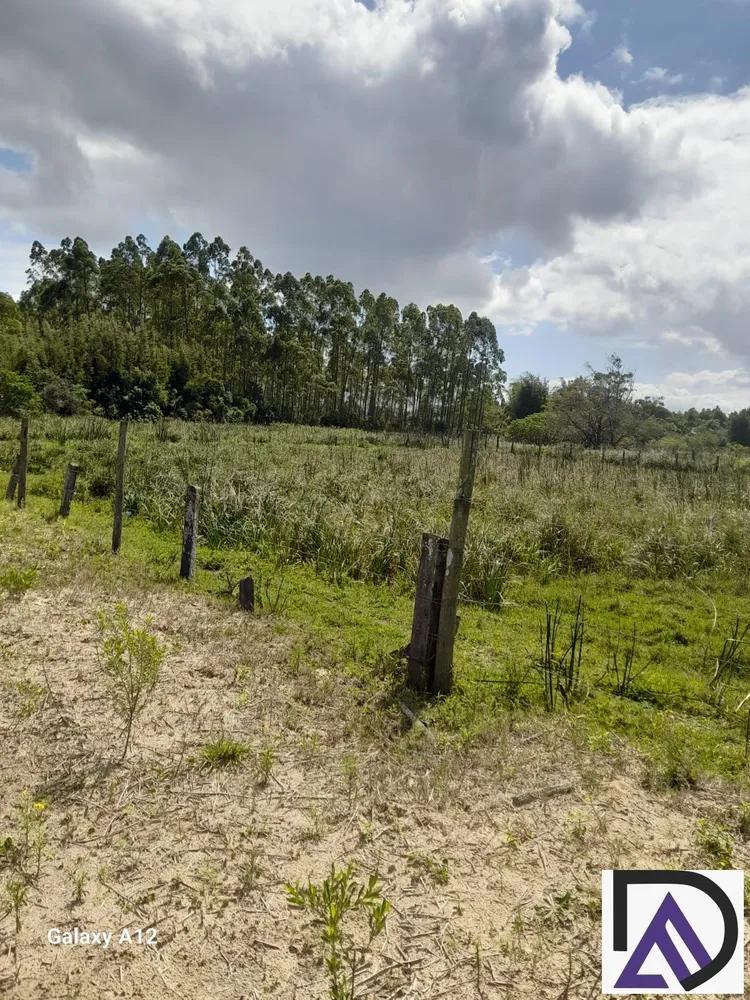 Chácara, 10000 m² - Foto 16