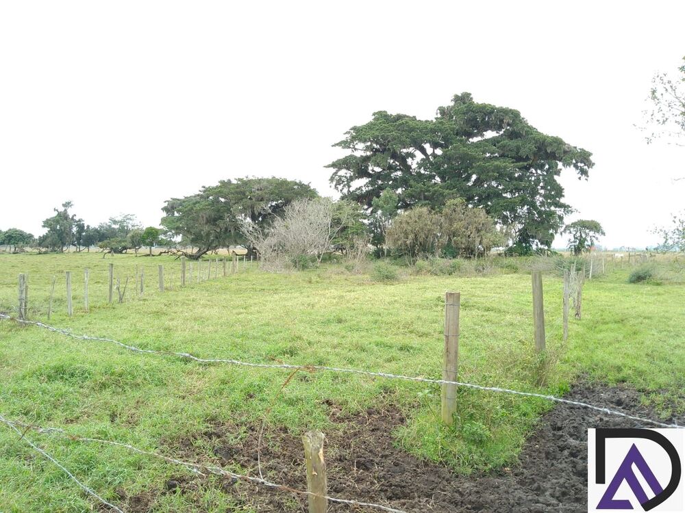 Terreno, 3500 m² - Foto 1