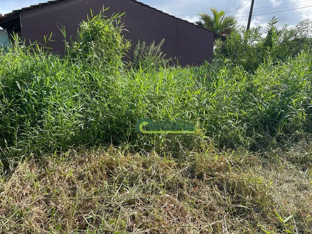 Terreno, 304 m² - Foto 4