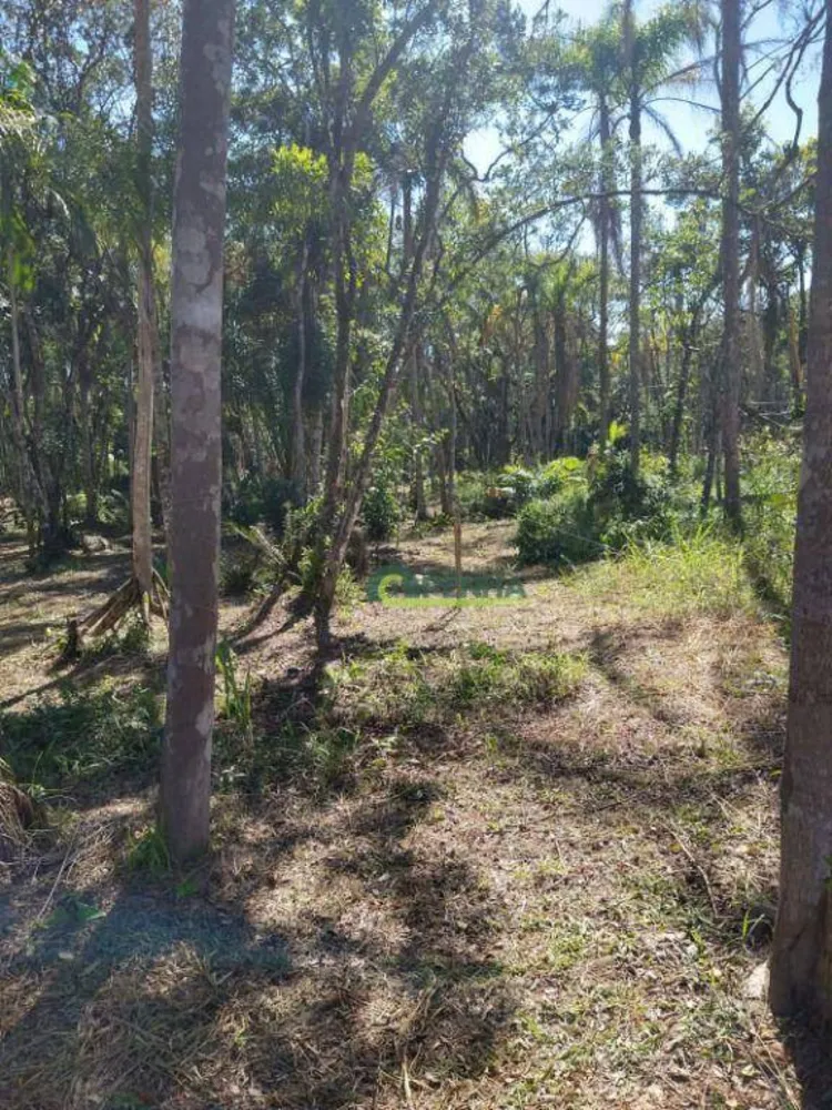 Terreno, 2550 m² - Foto 4