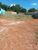 Terreno, 900 m² - Foto 5