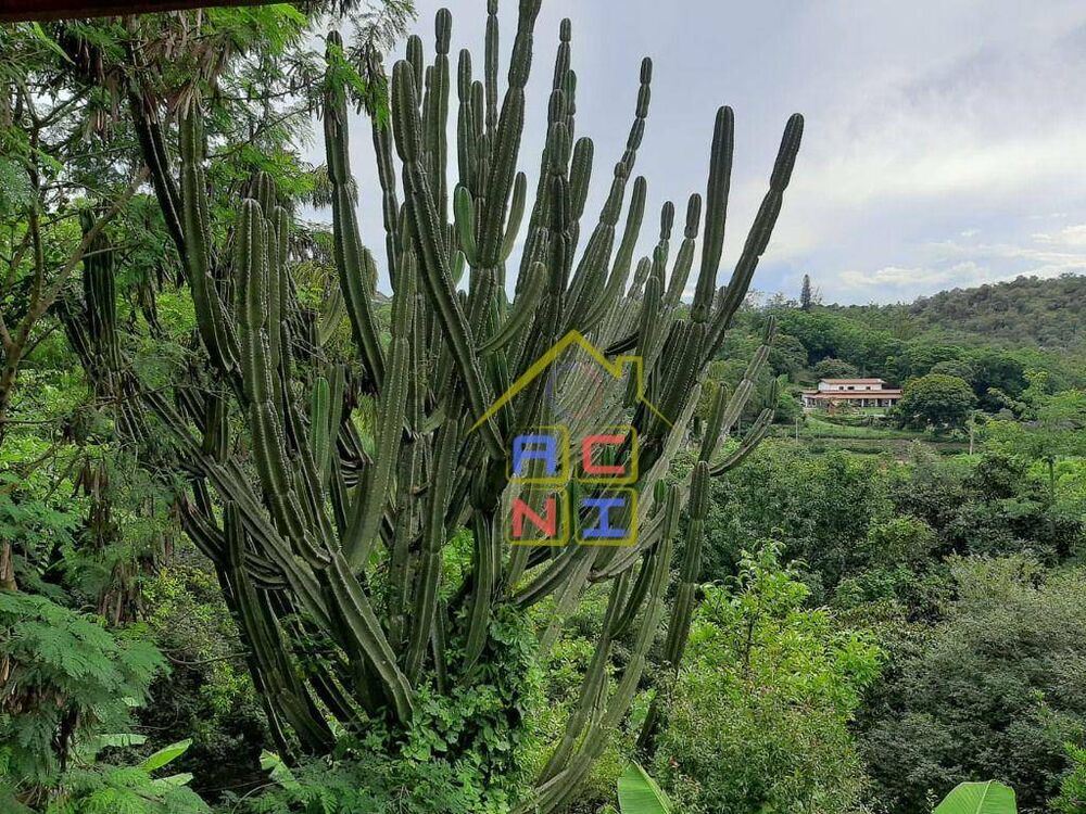 Chácara à venda com 4 quartos, 300m² - Foto 10