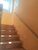 Chácara, 2 quartos, 1600 m² - Foto 20
