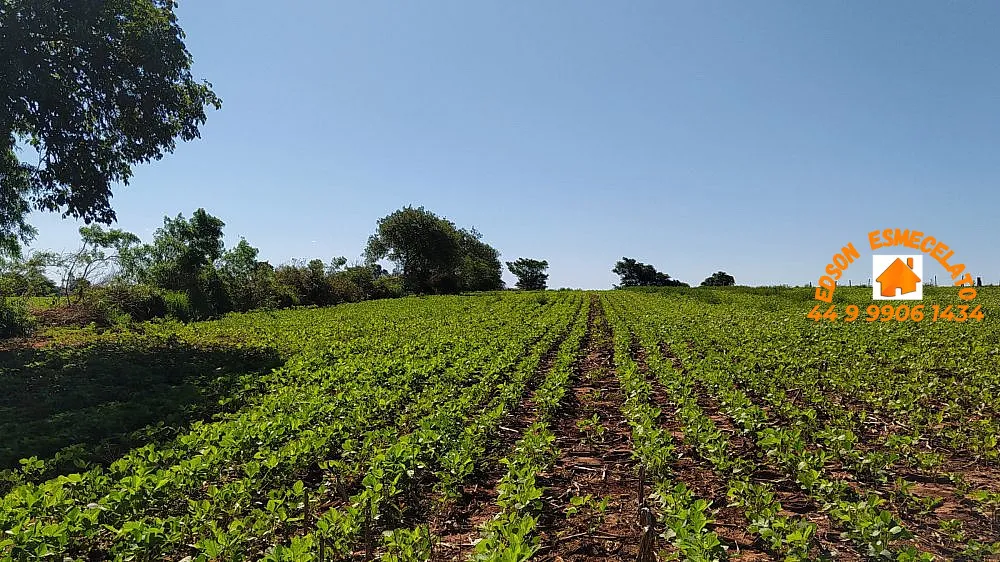 Sítio, 3 quartos, 2 hectares - Foto 1