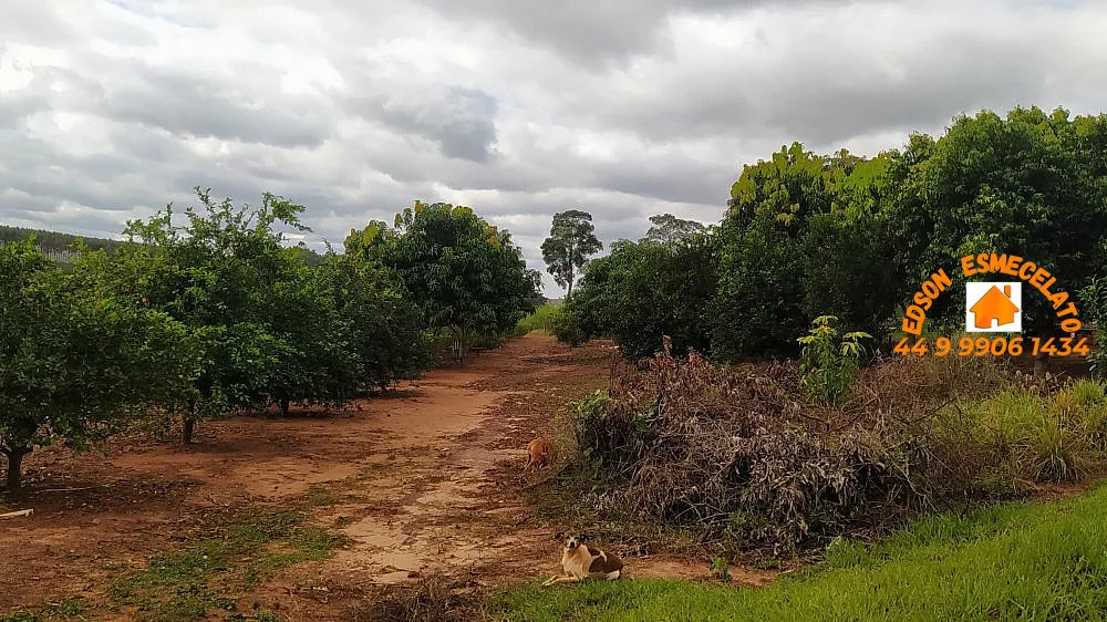Chácara, 3 quartos, 2 hectares - Foto 12