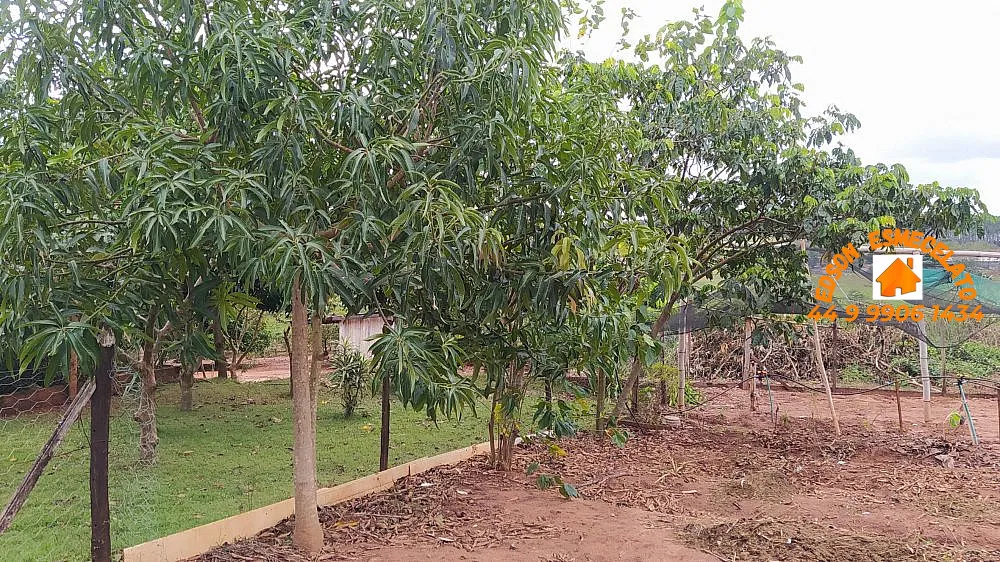 Chácara, 3 quartos, 2 hectares - Foto 15