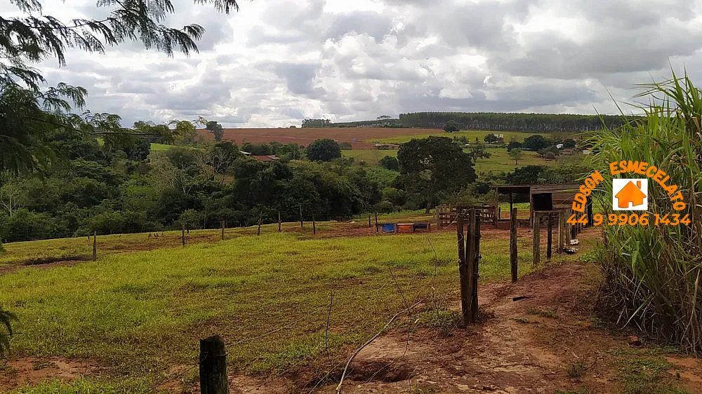 Chácara, 3 quartos, 2 hectares - Foto 14