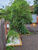 Casa, 3 quartos, 870 m² - Foto 24