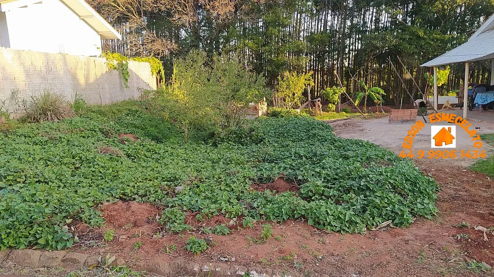 Terreno, 253 m² - Foto 5