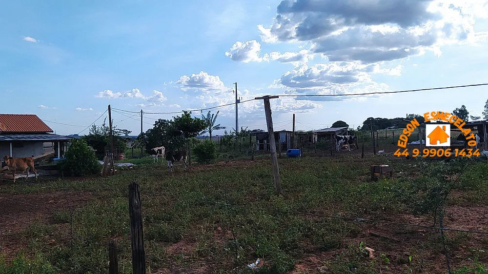 Chácara, 10000 m² - Foto 4