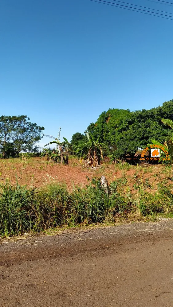 Chácara, 3 quartos, 5006 m² - Foto 4