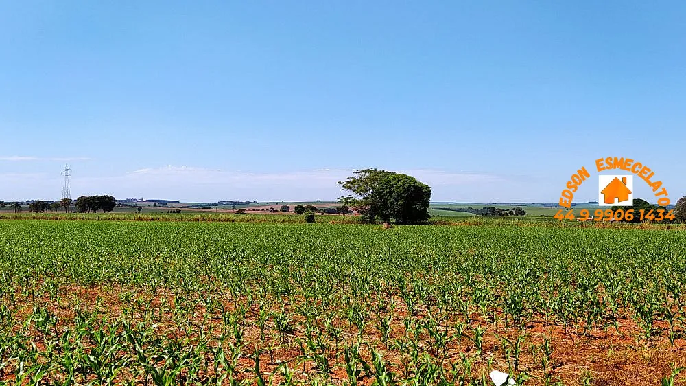 Sítio, 2 hectares - Foto 4