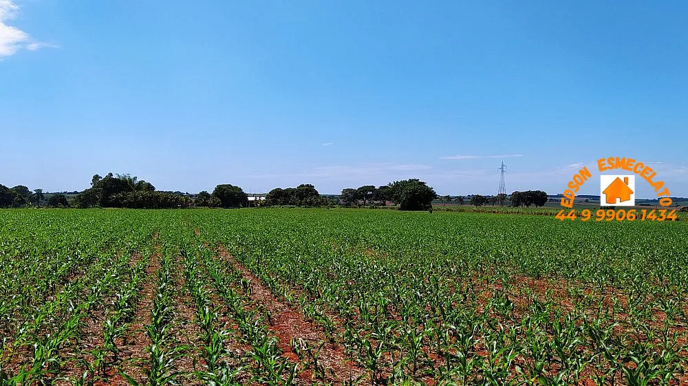 Sítio, 2 hectares - Foto 12