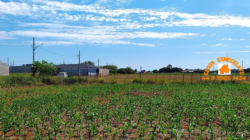 Sítio, 2 hectares - Foto 10