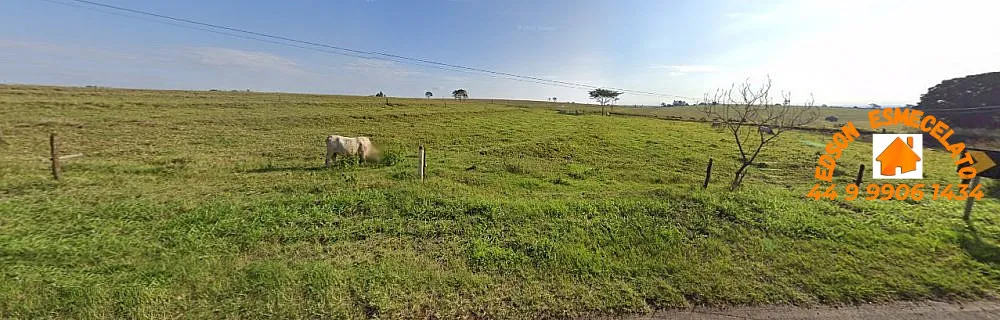 Chácara, 5 hectares - Foto 4