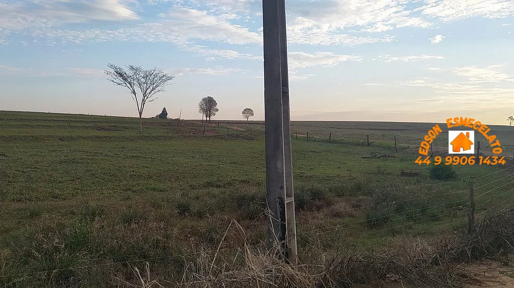 Chácara, 5 hectares - Foto 7