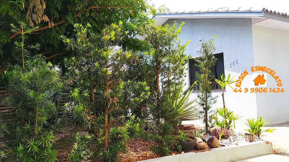 Casa, 3 quartos, 870 m² - Foto 3