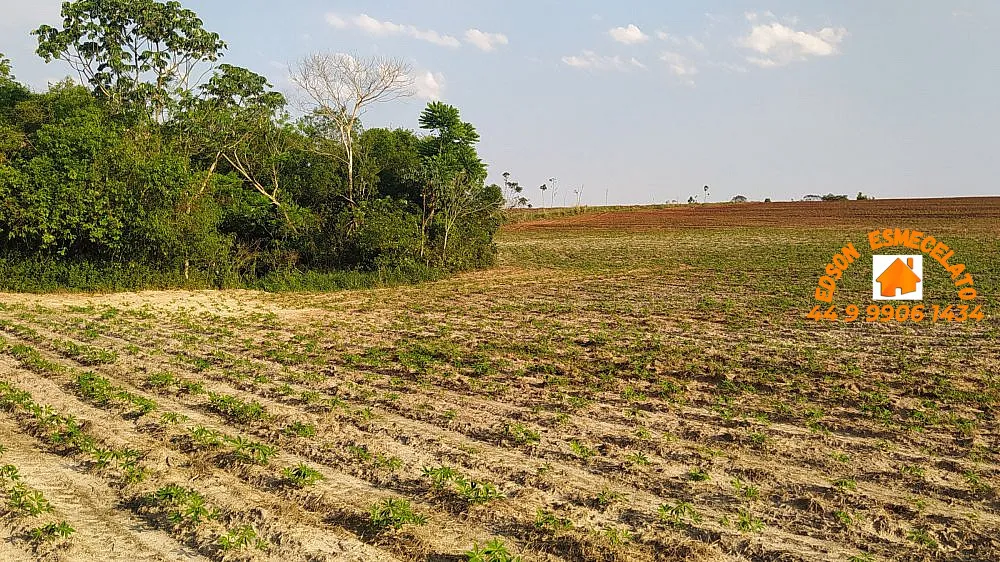Sítio, 12 hectares - Foto 12