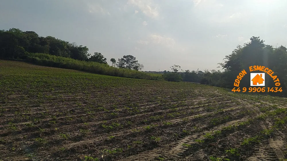 Sítio, 12 hectares - Foto 6