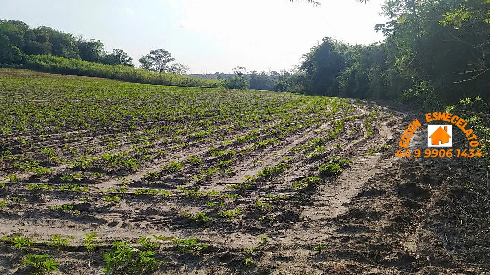 Sítio, 12 hectares - Foto 11