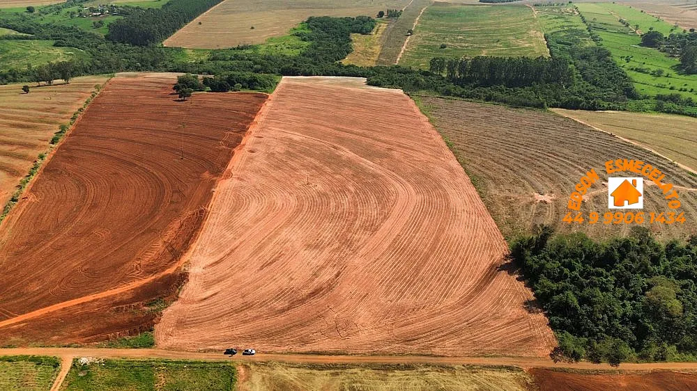 Sítio, 12 hectares - Foto 4