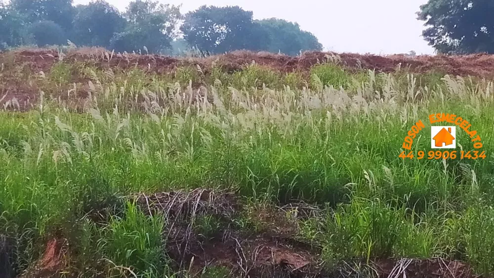 Terreno à venda, 5000m² - Foto 23