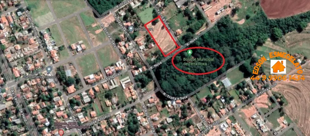 Terreno à venda, 5000m² - Foto 1