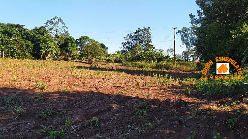 Chácara, 3000 m² - Foto 3
