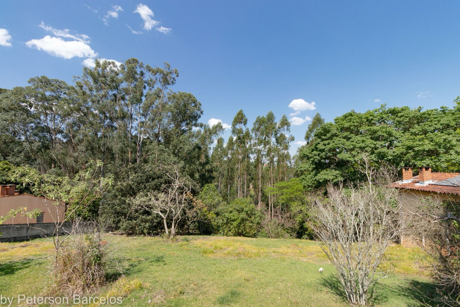 Terreno à venda, 2000m² - Foto 6