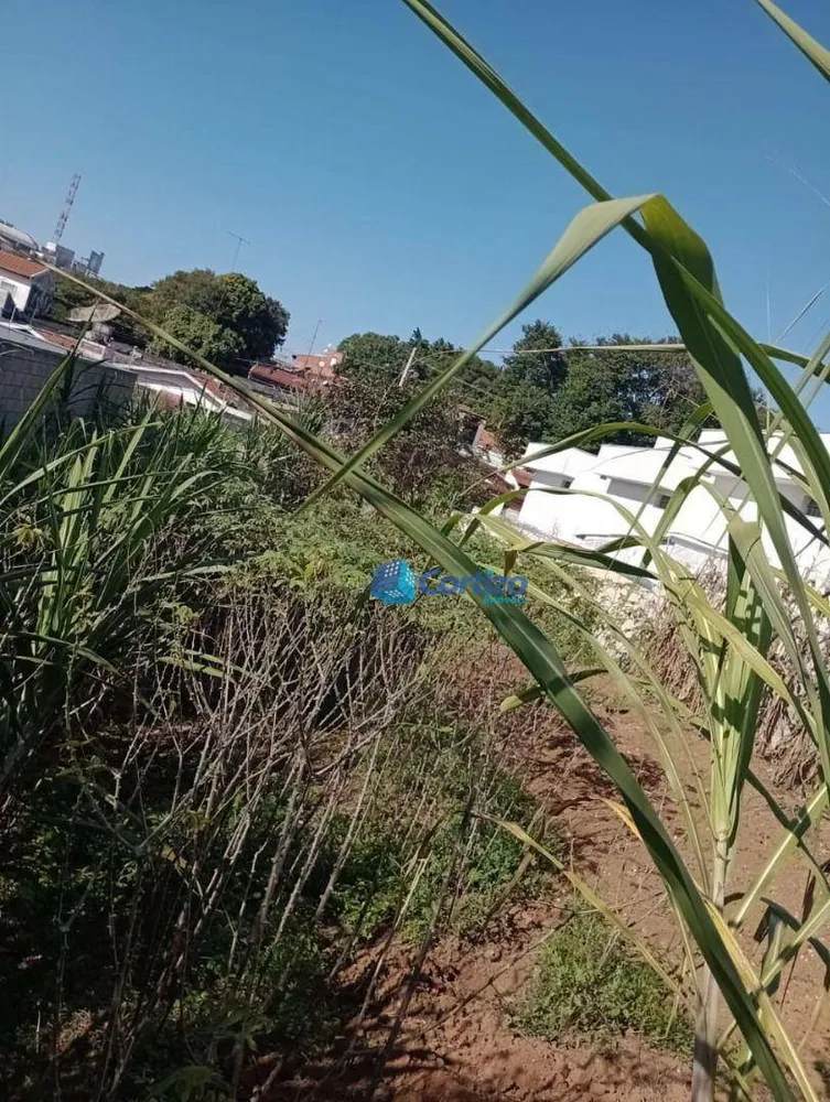 Terreno, 250 m² - Foto 6
