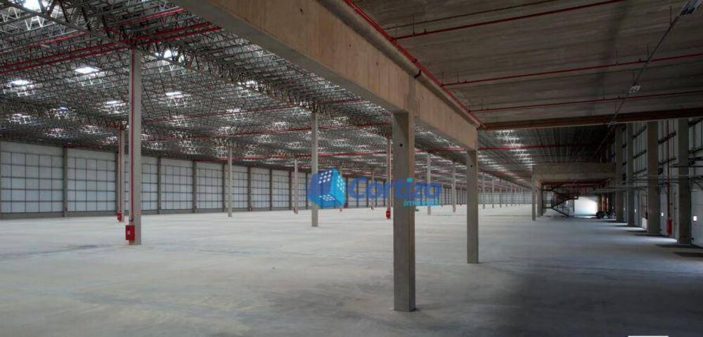 Depósito-Galpão-Armazém para alugar, 6462m² - Foto 4
