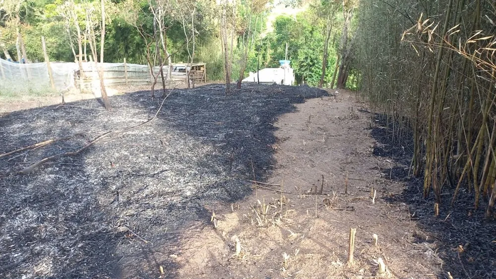 Terreno, 360 m² - Foto 3