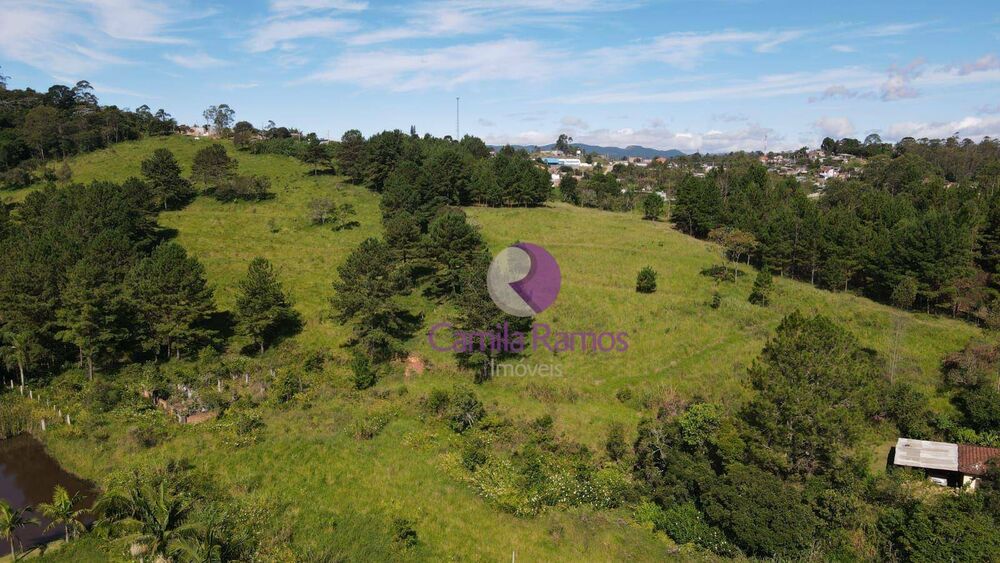 Terreno, 15 hectares - Foto 3