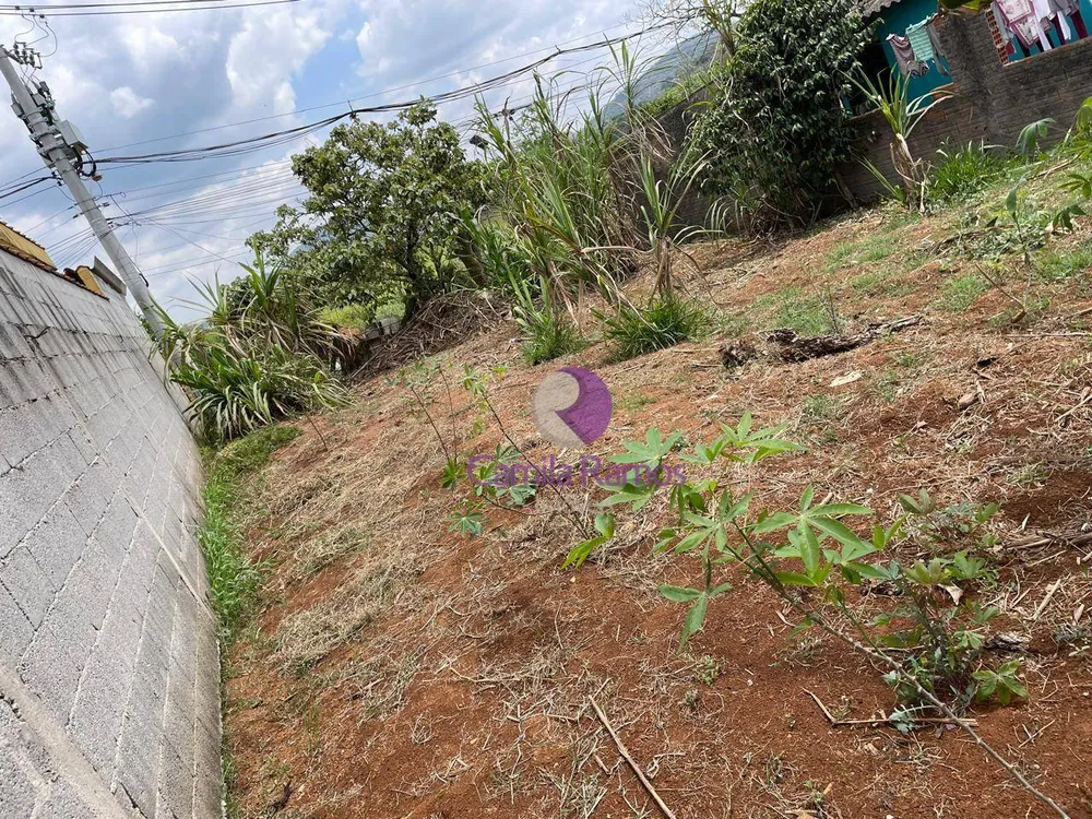 Terreno, 250 m² - Foto 4