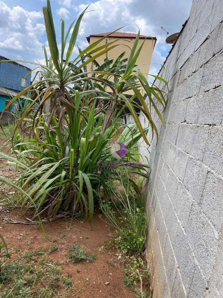 Terreno, 250 m² - Foto 5