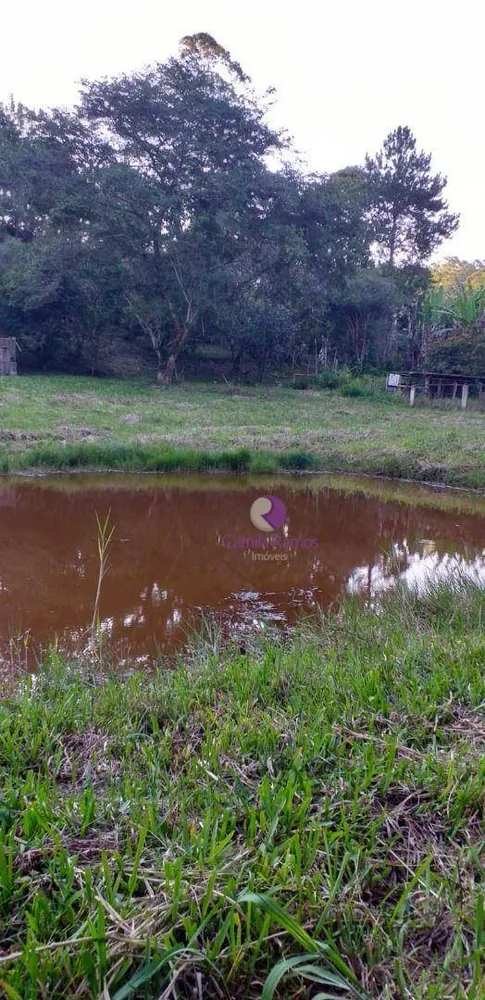 Chácara, 2 quartos, 1 hectares - Foto 3