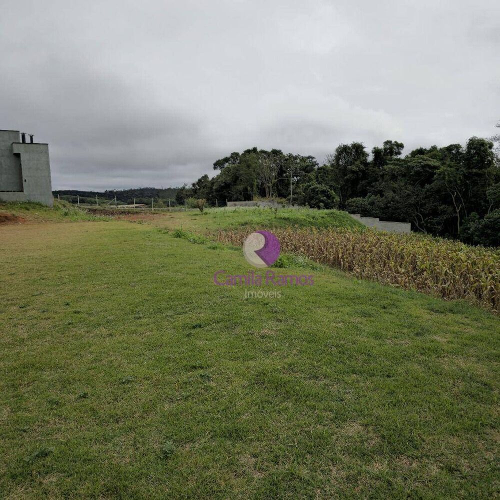 Chácara, 3 quartos, 3 hectares - Foto 4