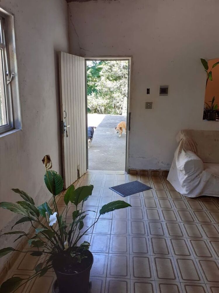 Chácara, 2 quartos, 1469 m² - Foto 3