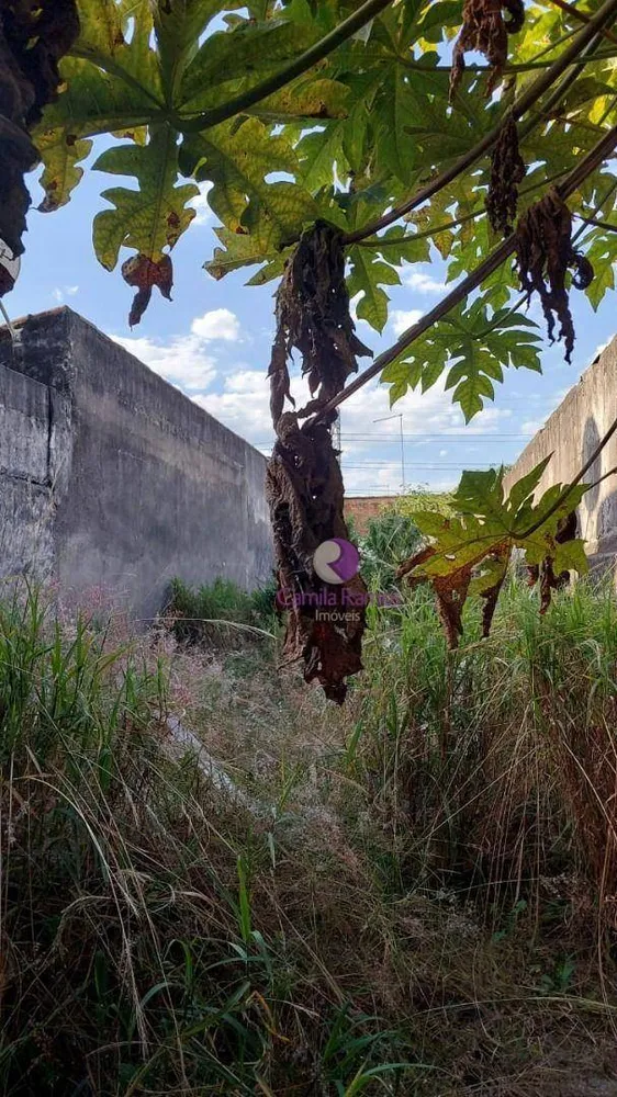 Terreno, 250 m² - Foto 7