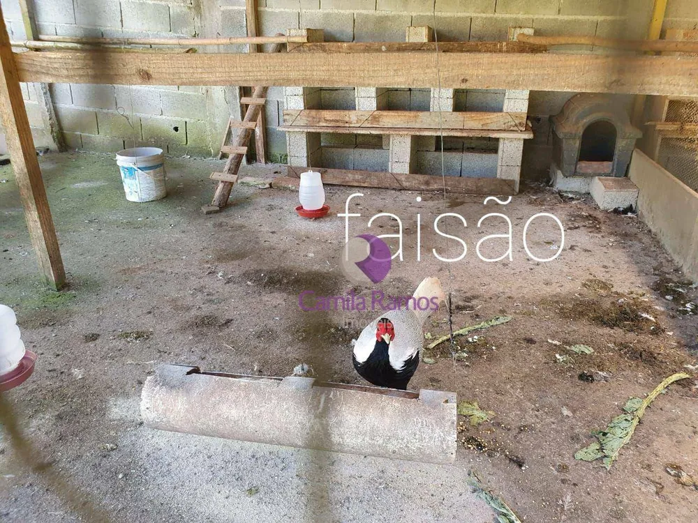 Chácara, 3 quartos, 4250 m² - Foto 2