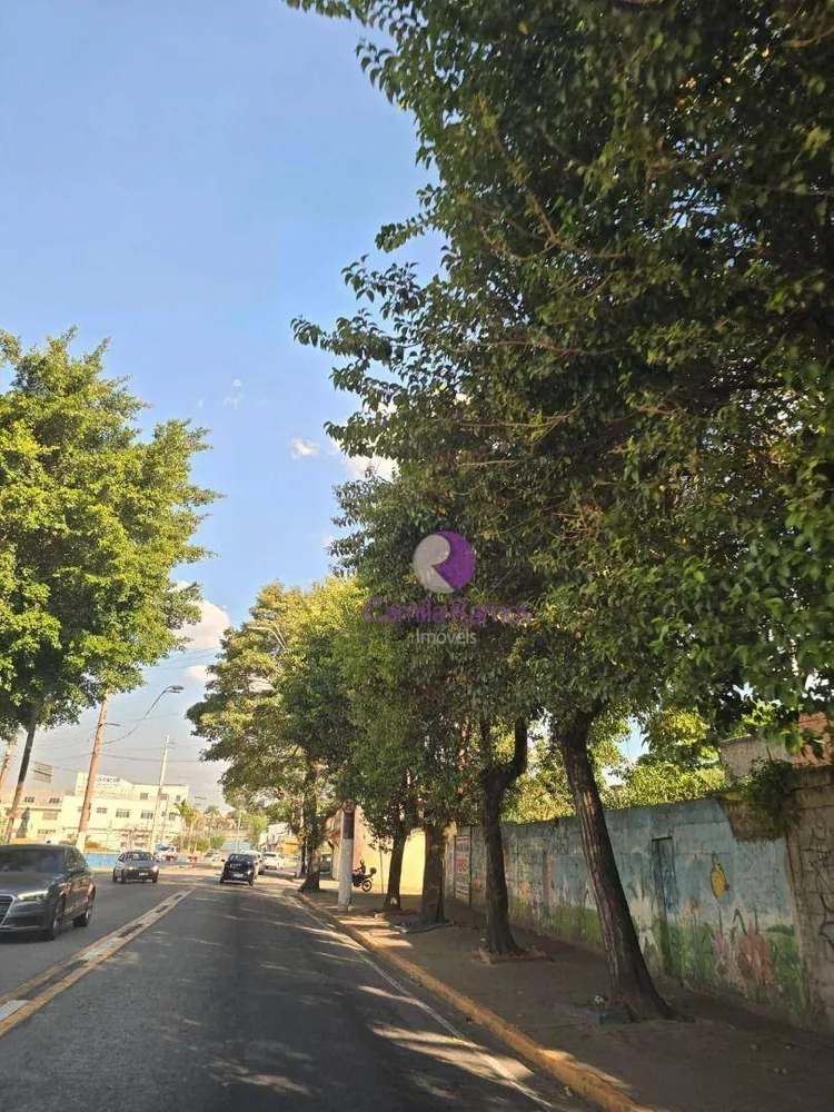 Terreno, 520 m² - Foto 3
