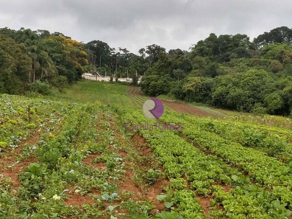 Terreno, 18 hectares - Foto 4