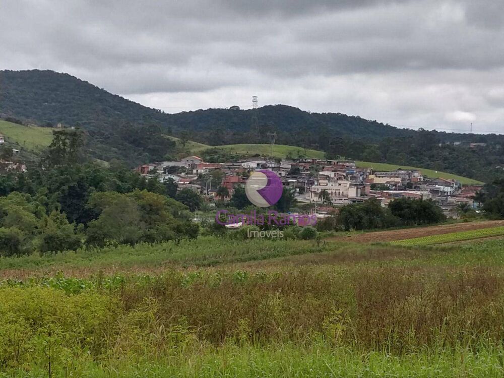 Terreno, 18 hectares - Foto 2