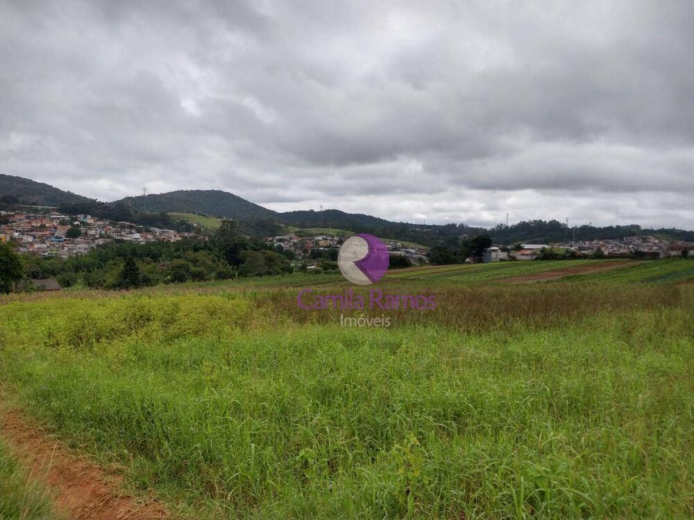 Terreno, 18 hectares - Foto 3