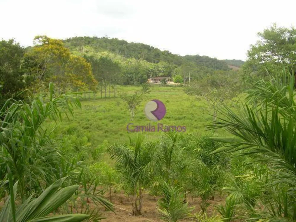 Terreno, 19 hectares - Foto 1