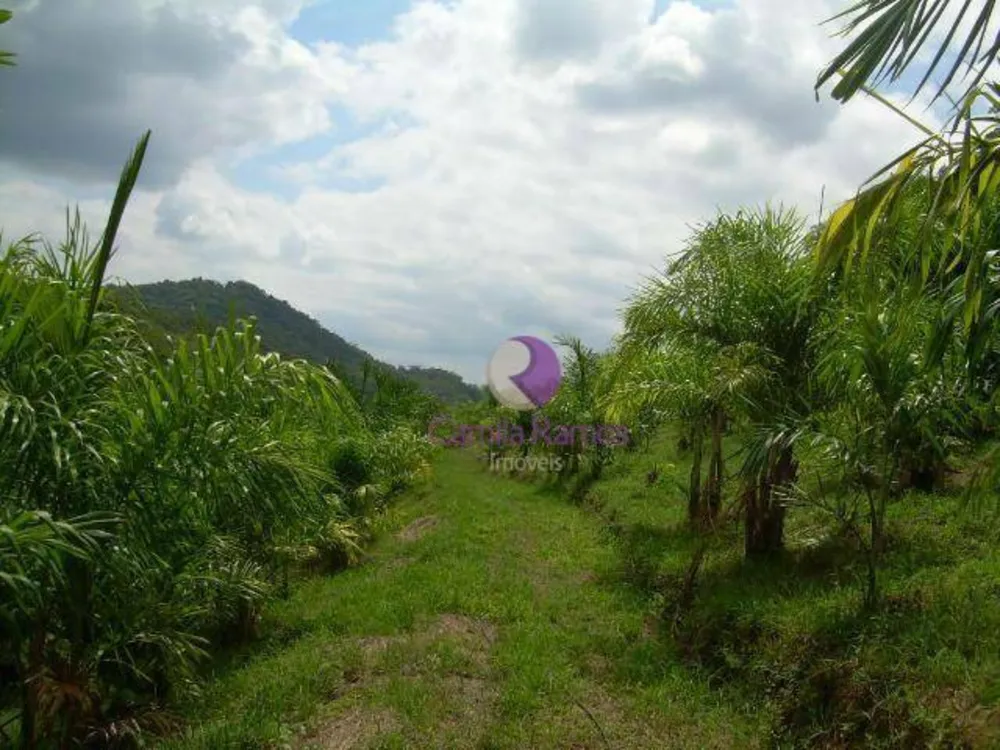 Terreno, 19 hectares - Foto 3